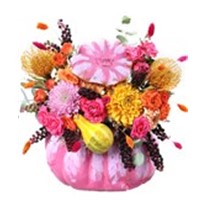 The Effect of Pink Pumpkin
