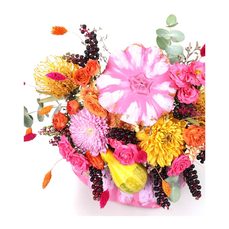 The Effect of Pink Pumpkin