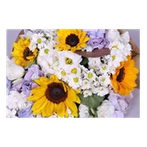 Organic Flowers Çiçek Aranjmanları