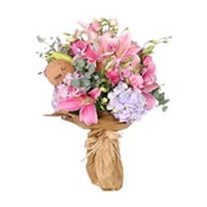 Pink Cherry Zambak Lilyum