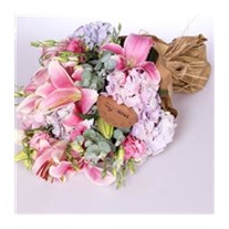Pink Cherry Zambak Lilyum
