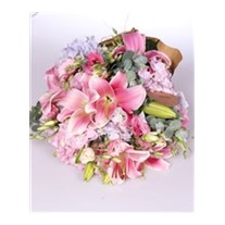 Pink Cherry Zambak Lilyum
