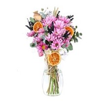 Whispering Pink Daisy Papatya