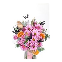 Whispering Pink Daisy Papatya