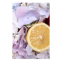 Organic Ortancalar