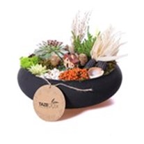 Black Design Terrarium (Teraryum)