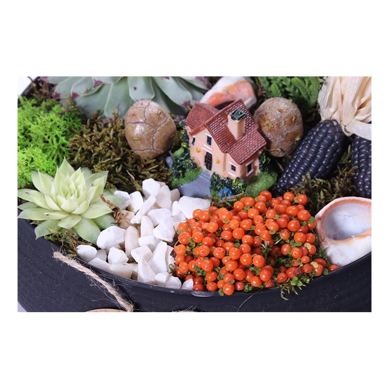 Black Design Terrarium (Teraryum)