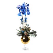 Christmas Blue Orchid