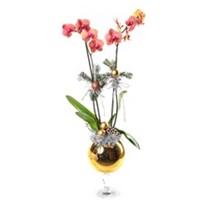 New Year Gold Vase