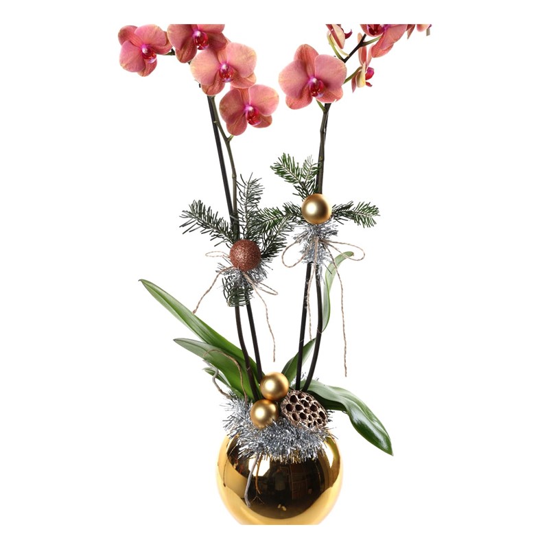 New Year Gold Vase