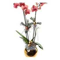 New Year Gold Vase