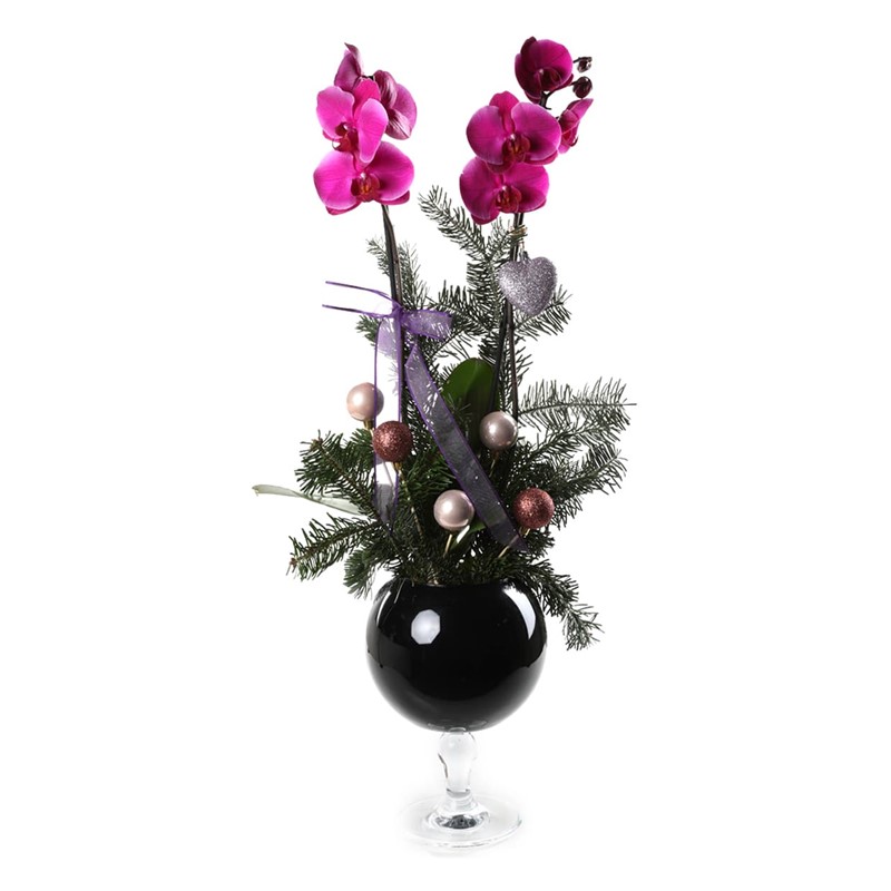 Purple New Year Concept