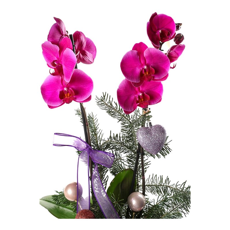 Purple New Year Concept