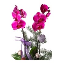 Purple New Year Concept