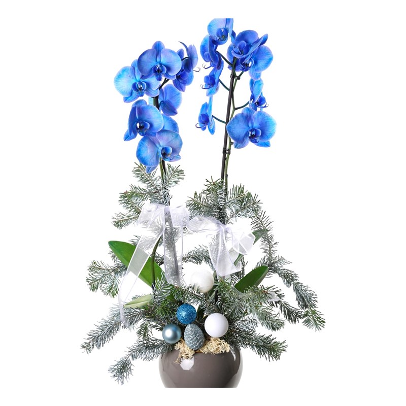 Blue New Year Decor