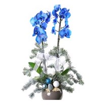 Blue New Year Decor