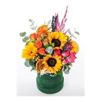 Floral Radiance Aranjman
