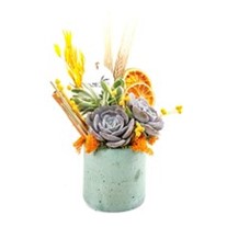 Spring Garden & Natural