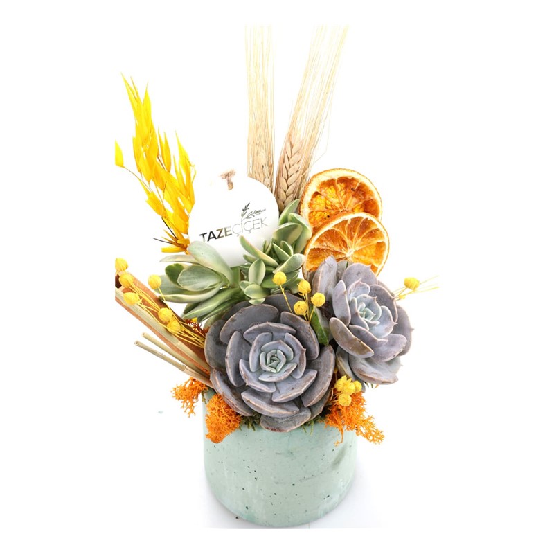 Spring Garden & Natural
