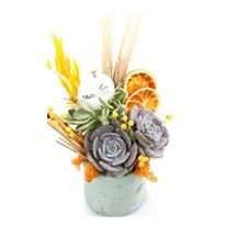 Spring Garden & Natural