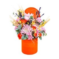 Orange Harmony
