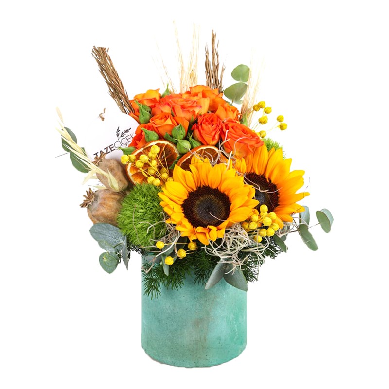 Random Sunflower