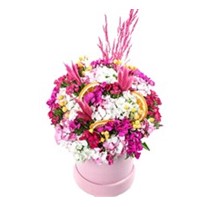 Bloom Mix