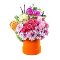 Bloom Blend