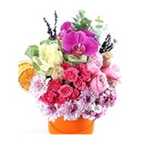 Bloom Blend