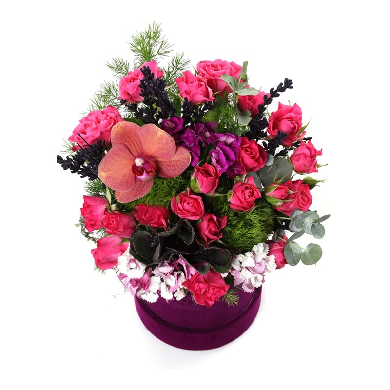 Passionate Tones Arrangement