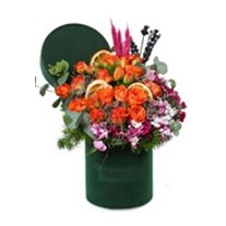 Orange Flower Harmony