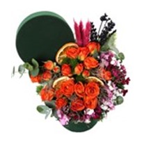 Orange Flower Harmony