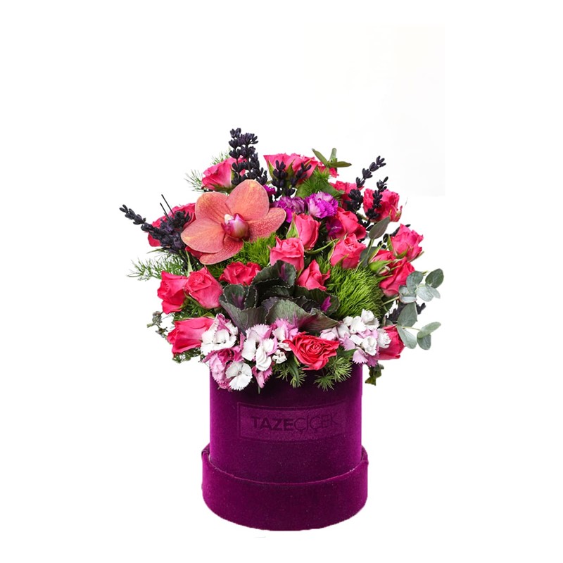 Purple Flower Harmony