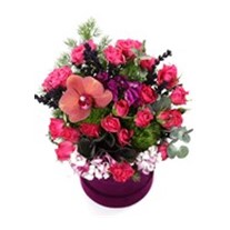 Purple Flower Harmony