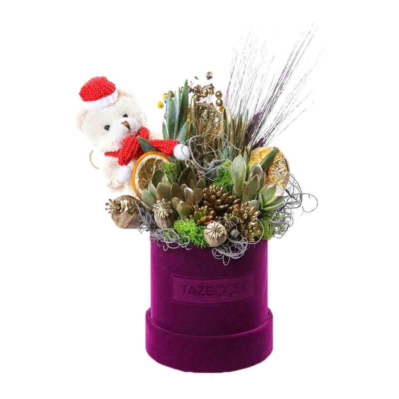 Purple Trace Succulent Arrangement