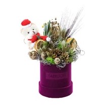 Purple Trace Succulent Arrangement