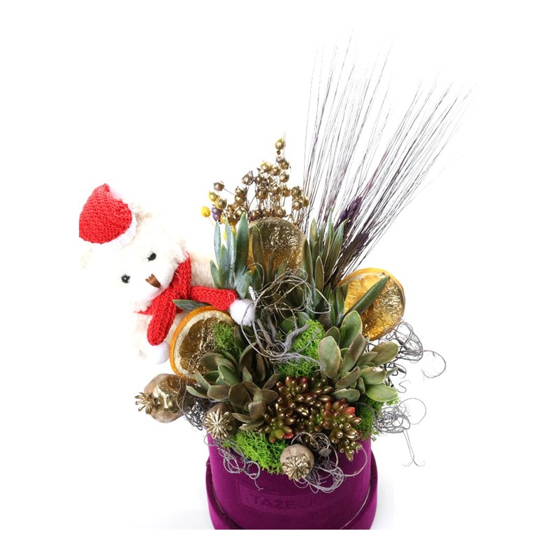 Purple Trace Succulent Arrangement