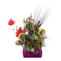 Purple Trace Succulent Arrangement