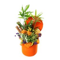 Orange Calm Garden