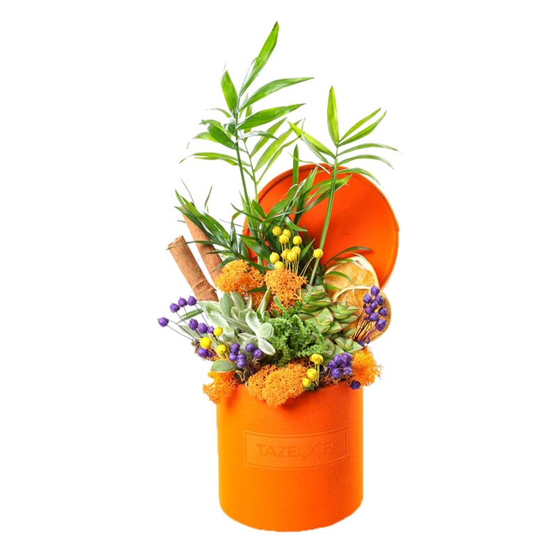 Orange Calm Garden