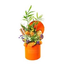 Orange Calm Garden