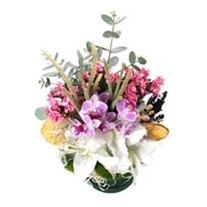 Harmony Of Lilies