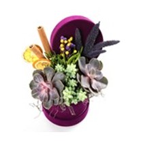 Dancing Flower Arrangement