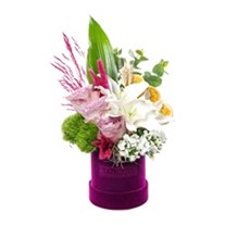 Delicate Purple Flower
