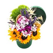 Smile of Green Flower