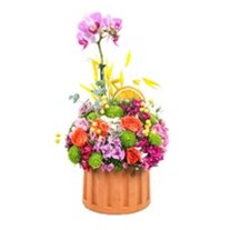 Enchanting Floral