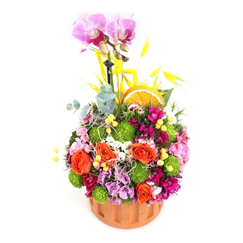 Enchanting Floral