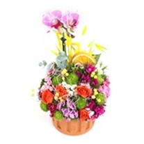 Enchanting Floral