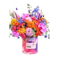 Colorful Box