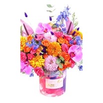 Colorful Box